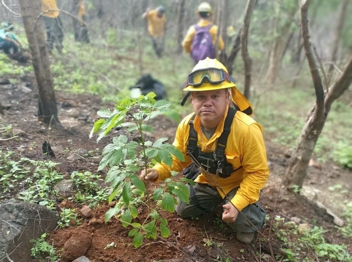 CONAFOR Celebrates Arbor Day with Reforestation Activities