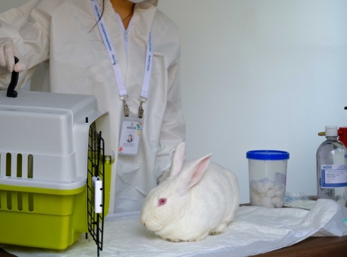 ASICA Jalisco Continues Rabbit Vaccinations