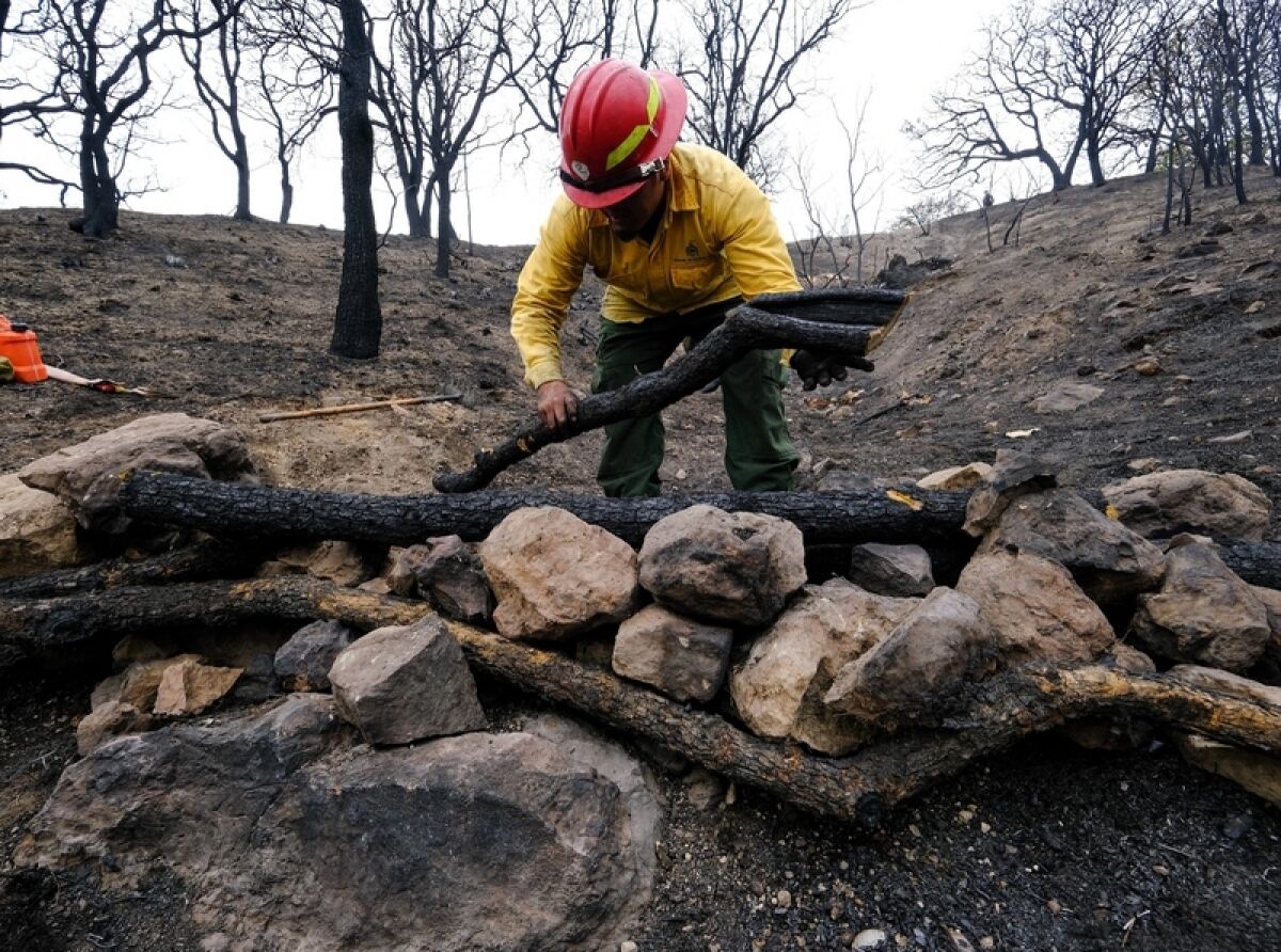 Forest Brigades Start Landslide Prevention Actions in La Primavera Forest
