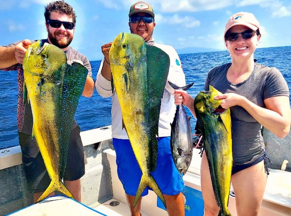 Dorado, Sailfish, Blue Marlin, Puerto Vallarta Fishing Returns! - Master  Baiter's Sport Fishing & Tackle Puerto Vallarta