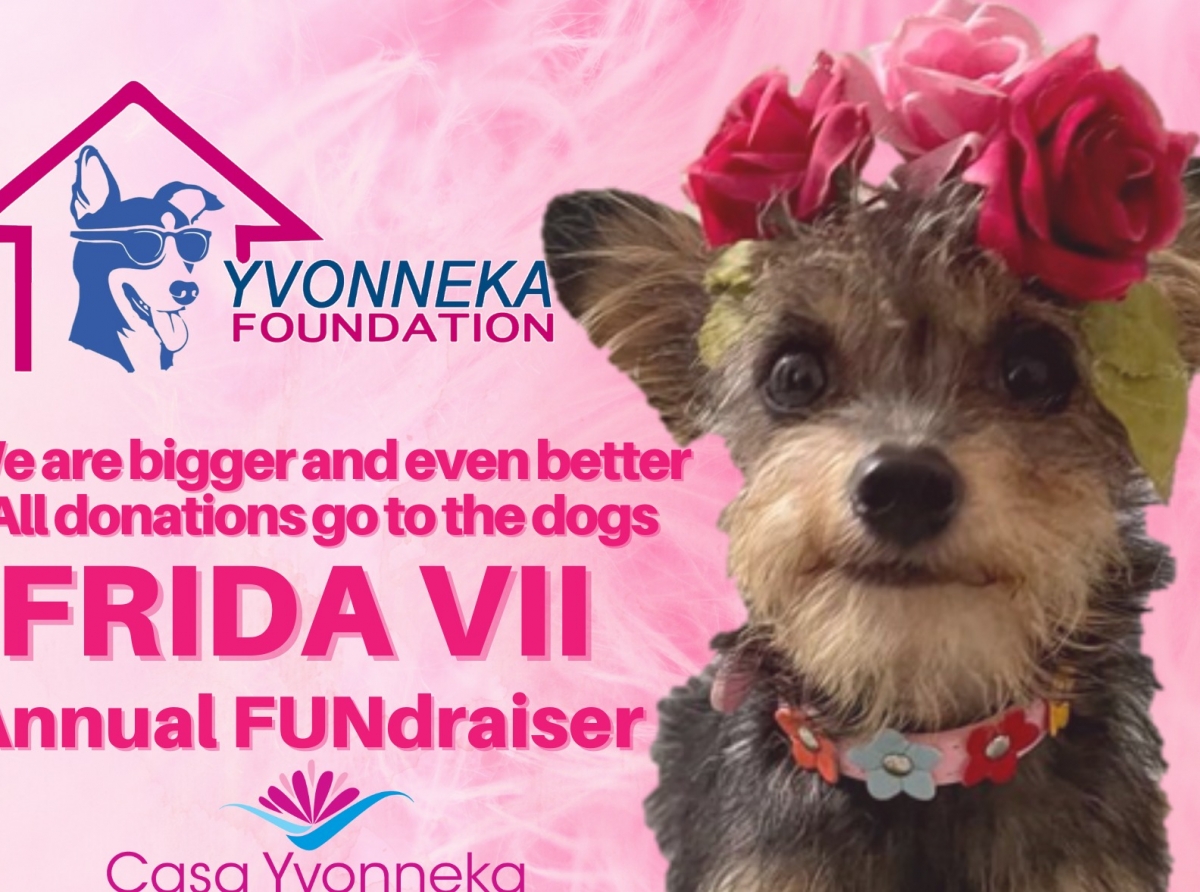 7th Annual FUNdraiser for Yvonneka's Foundation
